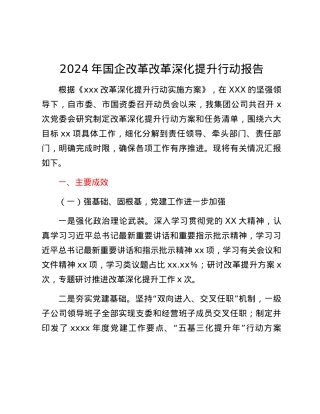 2024年国企改革改革深化提升行动报告.docx
