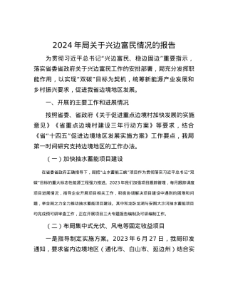 2024年局关于兴边富民情况的报告.docx