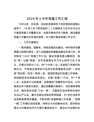 2024年上半年党建工作汇报.docx