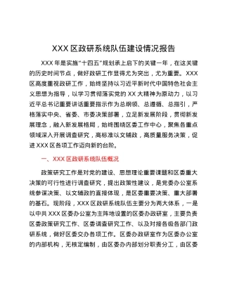 XXX区政研系统队伍建设情况报告.docx