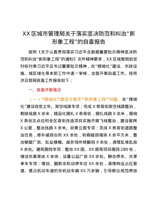 XX区城市管理局关于落实坚决防范和纠治“新形象工程”的自查报告.docx