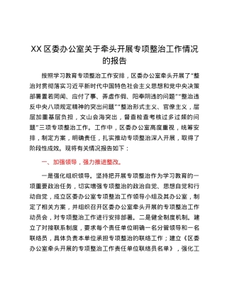 XX区委办公室关于牵头开展专项整治工作情况的报告.docx