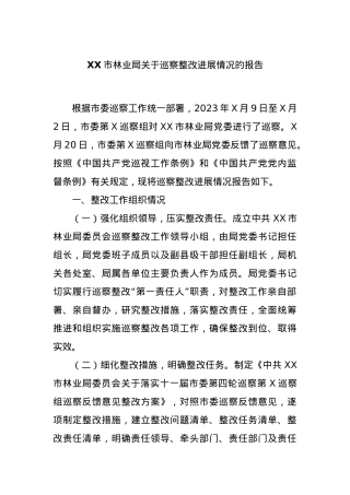 XX市林业局关于巡察整改进展情况的报告.docx