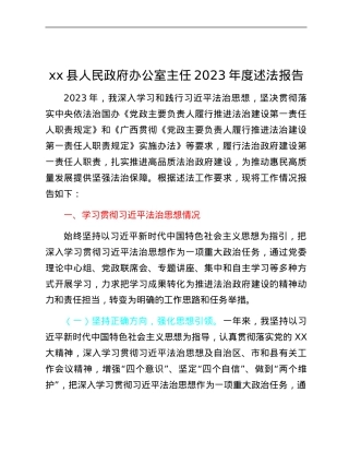 xx县人民政府办公室主任2023年度述法报告.docx