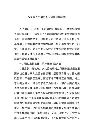 XX乡党委书记个人述责述廉报告.docx
