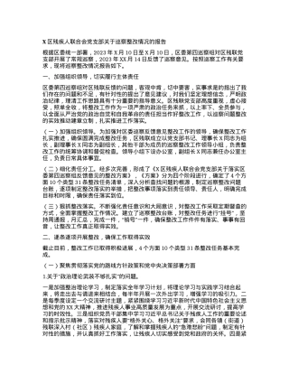X区残疾人联合会党支部关于巡察整改情况的报告.docx