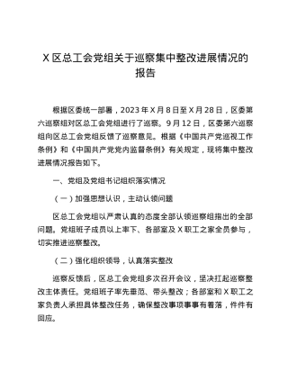 X区总工会党组关于巡察集中整改进展情况的报告.docx