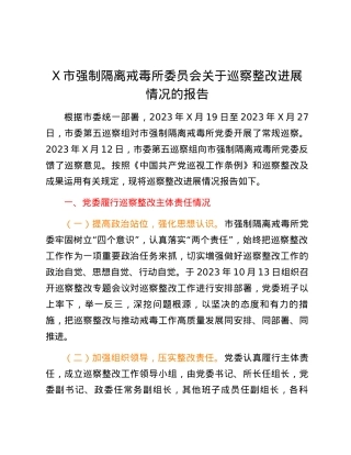 X市强制隔离戒毒所委员会关于巡察整改进展情况的报告.docx