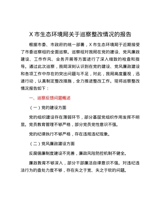 X市生态环境局关于巡察整改情况的报告.docx