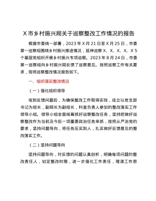 X市乡村振兴局关于巡察整改工作情况的报告.docx