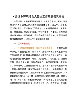 X县城乡环境综合大整治工作开展情况报告.docx