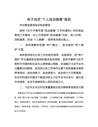 班子成员“个人政治画像”报告.docx