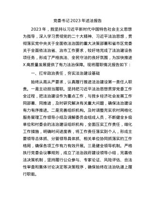 党委书记2023年述法报告2100字.docx