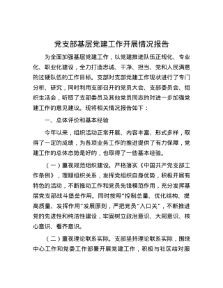党支部基层党建工作开展情况报告.docx