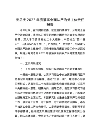 党总支2023年度落实全面从严治党主体责任报告.docx