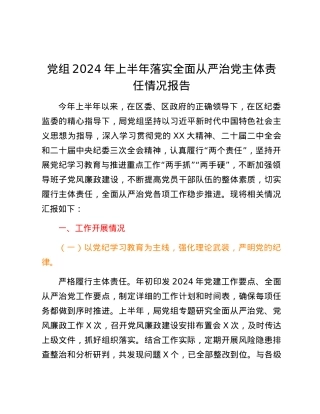 党组2024年上半年落实全面从严治党主体责任情况报告.docx