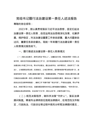 党组书记履行法治建设第一责任人述法报告.docx
