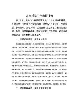 定点帮扶工作自评报告.docx