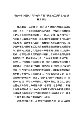 对铸牢中华民族共同体意识背景下民族地区共同富裕实践探索报告.docx