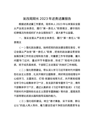 发改局局长2023年述责述廉报告.docx