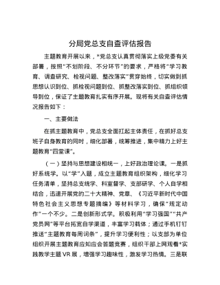 分局党总支自查评估报告.docx