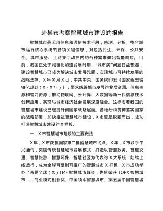 赴某市考察智慧城市建设的报告.docx