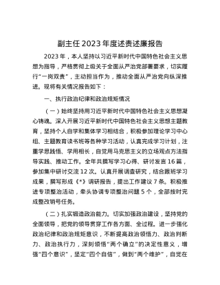 副主任2023年度述责述廉报告.docx