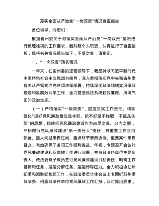 个人落实全面从严治党“一岗双责”情况自查报告3700字.docx
