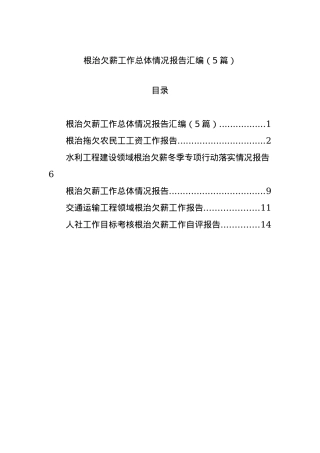 根治欠薪工作总体情况报告汇编（5篇）.docx