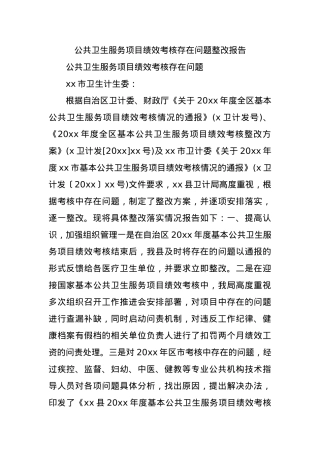 公共卫生服务项目绩效考核存在问题整改报告.docx