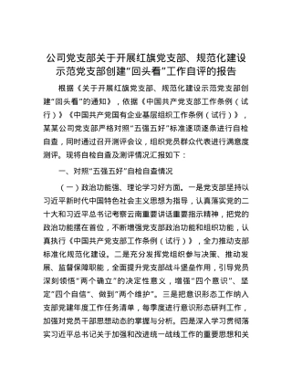 公司党支部关于开展红旗党支部、规范化建设示范党支部创建“回头看”工作自评的报告.docx