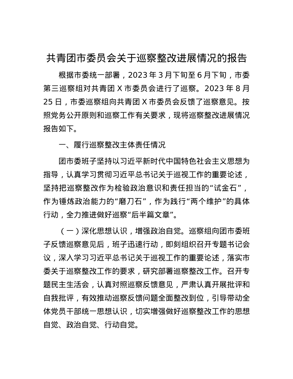共青团市委员会关于巡察整改进展情况的报告.docx_第1页