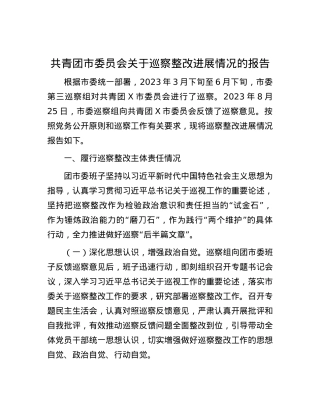 共青团市委员会关于巡察整改进展情况的报告.docx