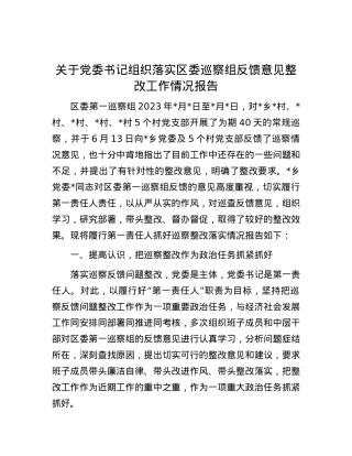 关于党委书记组织落实区委巡察组反馈意见整改工作情况报告.docx