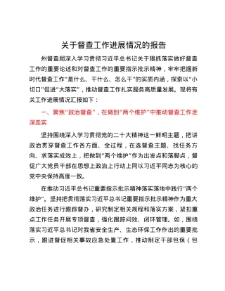 关于督查工作进展情况的报告.docx