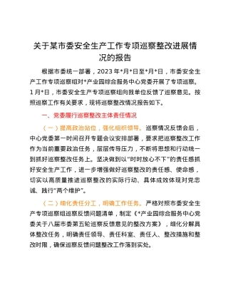 关于某市委安全生产工作专项巡察整改进展情况的报告.docx