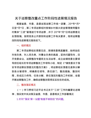 关于巡察整改重点工作阶段性进展情况报告.docx