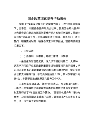 国企改革深化提升行动报告.docx