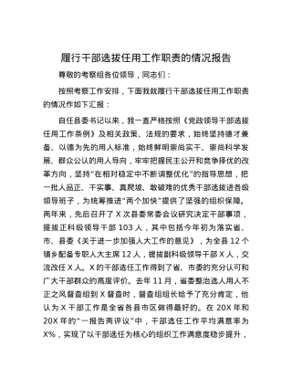 履行干部选拔任用工作职责的情况报告.docx