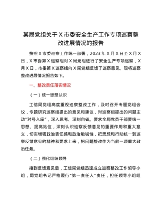 某局党组关于 X 市委安全生产工作专项巡察整改进展情况的报告.docx