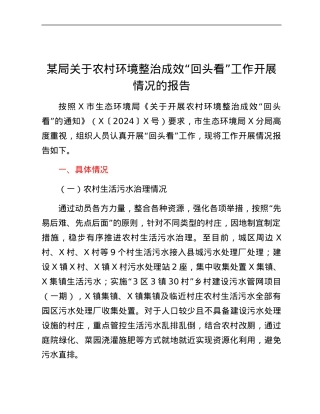 某局关于农村环境整治成效“回头看”工作开展情况的报告.docx