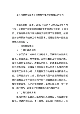 某区残联党支部关于巡察集中整改进展情况的报告.docx