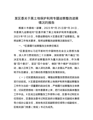 某区委关于黑土地保护利用专题巡察整改进展情况的报告.docx