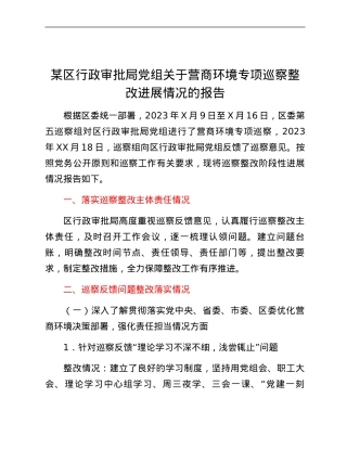某区行政审批局党组关于营商环境专项巡察整改进展情况的报告.docx