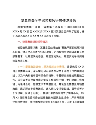 某县县委关于巡视整改进展情况报告.docx