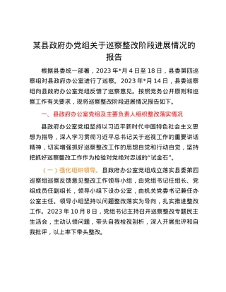 某县政府办党组关于巡察整改阶段进展情况的报告.docx