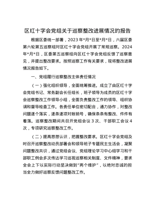 区红十字会党组关于巡察整改进展情况的报告.docx
