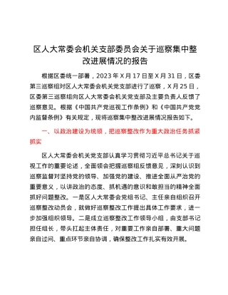 区人大常委会机关支部委员会关于巡察集中整改进展情况的报告.docx