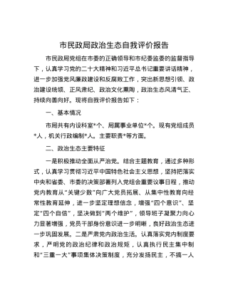 市民政局政治生态自我评价报告.docx