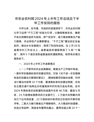 市农业农村局2024年上半年工作总结及下半年工作安排的报告.docx